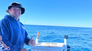 Reef Fishing Masthead Island Queensland Great Barrier Reef [upl. by Helm434]