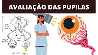 O QUE VOCÊ PRECISA SABER SOBRE AVALIAÇÃO DAS PUPILAS [upl. by Anirba]