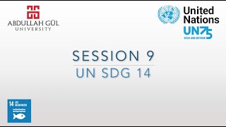 AGUUnited Nations  Dialogue Session 9  SDG 14 [upl. by Tobie]