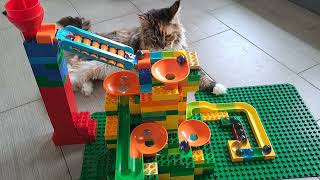 Marble Run Race with Darja and CAT 3 [upl. by Atlee897]