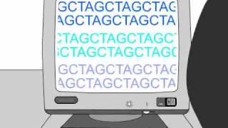 How to Sequence a Genome 11 Working Draft Sequence [upl. by Norud273]