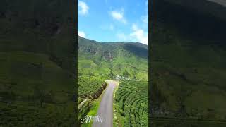 Gartmore Road Maskeliya Sri Lanka travel gartmore maskeliya srilanka lk srilankatravel [upl. by Annasus236]