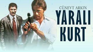 Yaralı Kurt Türk Filmi  FULL  CÜNEYT ARKIN  AHMET MEKİN [upl. by Nosliw969]