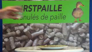 Le pouvoir ultra absorbant du granulé de paille FIRSTPELLETS [upl. by Deina895]