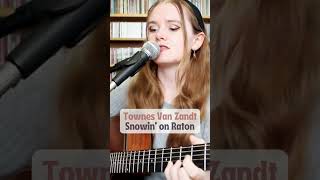 Townes Van Zandt  Snowin on Raton townesvanzandt [upl. by Pogah]