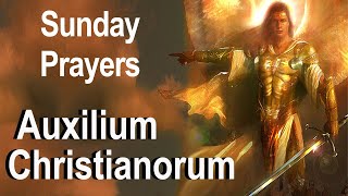 Auxilium Christianorum  Sunday Deliverance Prayers for Use By the Laity  Fr Chad Ripperger Video [upl. by Soulier]