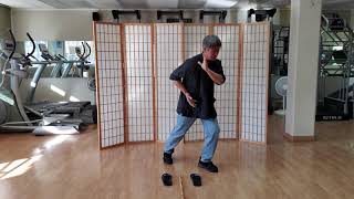 Sil Lum Fut Gar Kuen Basics  Sidestepping 1 amp Mor Poon Jeong [upl. by Morly]