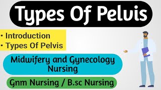 Types Of Pelvis  Midwifery And Gynecology Nursing  Nursing Notes [upl. by Nedia]