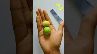 how to make blue🔵 litmus paper at home in easy way science litumas acid project blue to red [upl. by Samale]