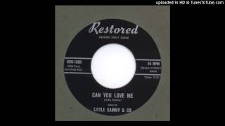 Little Sammy amp Co  Can You Love Me  1960 [upl. by Ocinemod]