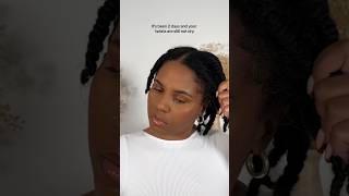 It’s been 2 days and your twists are still not dry twists hairgrowthjourney twistout naturalhair [upl. by Stent]