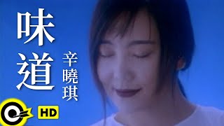 辛曉琪 Winnie Hsin【味道 Scent】Official Music Video [upl. by Oulman]