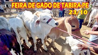 Feira de gado de TabiraPE 231024 [upl. by Milty]