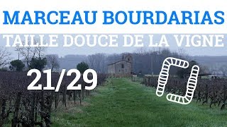 2129  M BOURDARIAS  Taille Douce de la Vigne  La Taille Guyot Poussard [upl. by Dwain]