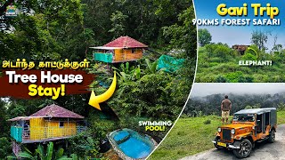 இந்தியாவிலேயே இங்குதான் சுத்தமான காற்று இருக்கும்  GAVI TRIP TAMIL  GAVI FOREST PACKAGE  THEKKADY [upl. by Kolosick830]