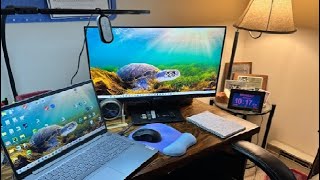 Viewedge 24 Inch Gaming Monitor PC Computer Monitor with 105 sRGB Bluelight Filter Review [upl. by Eldrida525]