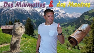 Je vous montre ⌚ ma Marmotte 😂 [upl. by Acenes830]