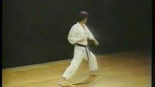 Heian Shodan  Shotokan Karate [upl. by Assiled]