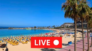 🔴☀️ LIVE Amadores Beach Gran Canaria June 30 2024 Weather Wetter [upl. by Derfliw]