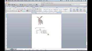 How to Merge a Word Document amp an Excel Sheet Together  Microsoft Office Tips [upl. by Nnateragram]