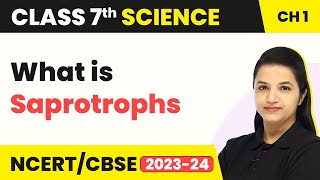 What is Saprotrophs  Nutrition in Plants  Class 7 Science Chapter 1 202223 [upl. by Nnaeed]