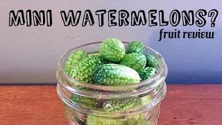 Cucamelon Review  Pickle recipe mouse melon  Weird Fruit Explorer Ep 231 [upl. by Chow817]