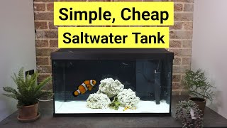 How To Set Up A Saltwater Tank For Beginners for £182 [upl. by Gniw]