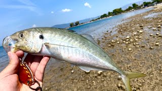 Κοκκαλι τέρας στο λρφ Lrf fishing in Greece [upl. by Ettennaj]