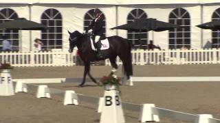 Ecco FEI European Championships 2013 Herning  ParaDressage Day 3 Highlights [upl. by Lanie969]