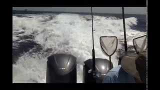 61 MPH 42 Foot Yellowfin offshore boat with 3 350HP Yamahas [upl. by Lauryn223]