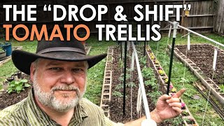 How to Trellis Tomatoes on a Single String  Black Gumbo [upl. by Etnahsa]