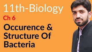 FSc Biology Book 1 Ch 6  Occurence and Struture of Bacteria  11th Class Biology [upl. by Akemahs357]