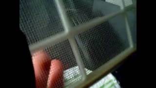 scion iQ cabin filter replacement [upl. by Suivart]