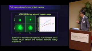 Fucose Targeting Melanoma with Sugar [upl. by Nosecyrb356]