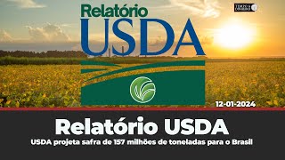 Relatorio USDA  Projeção de safra de 157 milhões de toneladas para o Brasil Argentina 50 milhões [upl. by Verile]