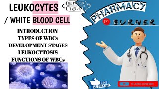 White Blood Cell  Hindi amp English  Formation  Type of WBC  Functions  Stages of Development [upl. by Alyks]