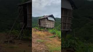 Trồng ít cây mà phá trọc núi thì nhiều Đây là nguyên nhân thiên tai lũ lụt xảy ra 🌧️ lũ lụt [upl. by Mcgee]