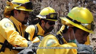 Prevención detección y combate de incendios forestales [upl. by Dorri]