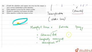 Assertion  Xerophytic leaves may contain stomatal crypts or sunken stomata [upl. by Eniamahs]