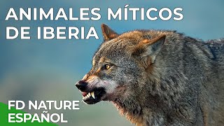 Animales Míticos de Iberia  Free Documentary Nature Español [upl. by Hoeg]