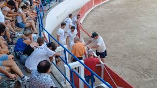 Synopse Manade CAILLAN fait le show  Course camarguaise Roquemaure 150824 🐂 [upl. by Taft]