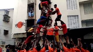 Dahi Handi 2017 Celebration in Mumbai [upl. by Cruickshank]