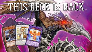 This Zombie Lightsworn Deck BRAKES THE META [upl. by Ciprian889]