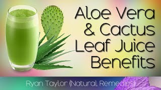 Cactus and Aloe Vera Juice Benefits [upl. by Hareema217]