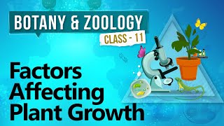 Factors Affecting Plant Growth  Plant Growth and Development  Biology Class 11 [upl. by Ludly]