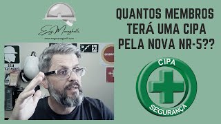 CIPA – Quantos Membros deve ter a CIPA Aprenda de uma vez por todas [upl. by Judy987]