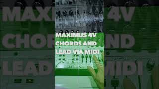 Maximus 4V Polyphonic Synthesizer Chords via MIDI shorts [upl. by Littman]