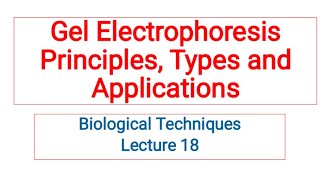 Gel electrophoresis Principle Types and application Lecture 18 [upl. by Martell573]