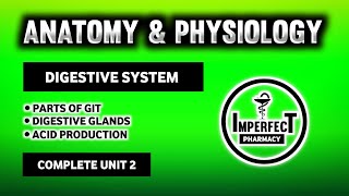 Digestive System  Parts Of Digestive System  Human Anatomy And Physiology  B Pharma 2nd Semester [upl. by Karim]