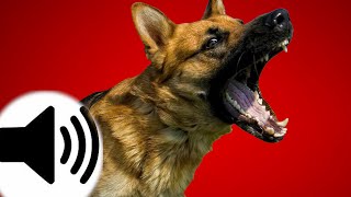 Dogs Barking Sound Effect [upl. by Eddina]